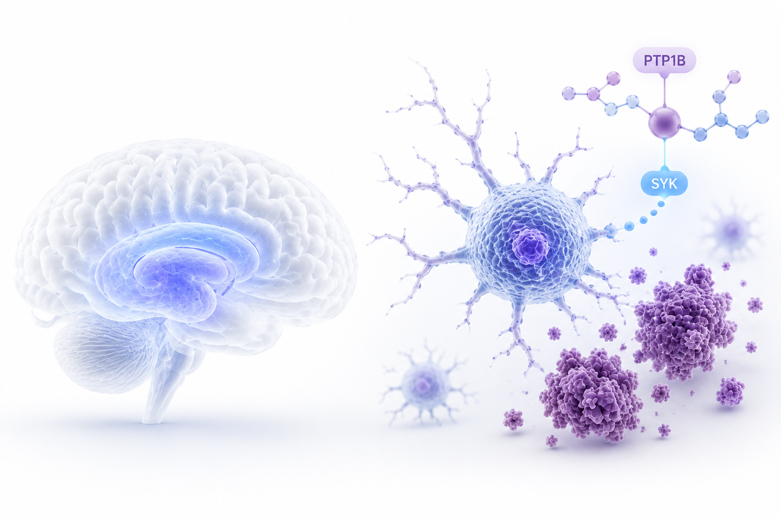 Microglia and PTP1B research in Alzheimer’s disease